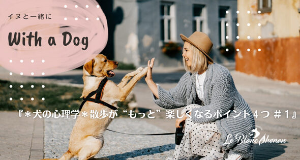 犬のマウンティングの意味 神奈川県藤沢市 犬と人の行動カウンセリング ル ブラン湘南
