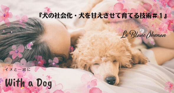 犬を抱いてベッドで眠る女性