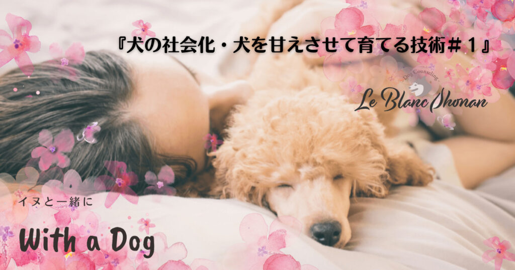 犬を抱いてベッドで眠る女性
