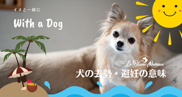 ブログ 神奈川県藤沢市 犬と人の行動カウンセリング ル ブラン湘南 ブログ 神奈川県藤沢市 犬と人の行動カウンセリング ル ブラン湘南