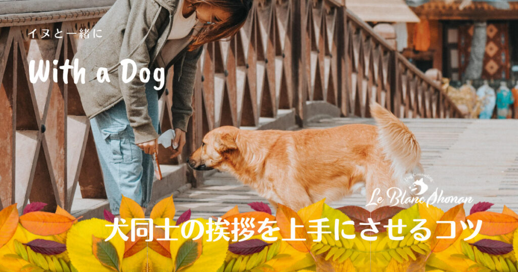 犬同士の挨拶を上手にさせるコツ 神奈川県藤沢市 犬と人の行動カウンセリング ル ブラン湘南