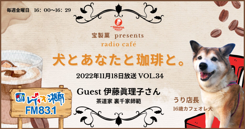 犬とあなたと珈琲と Vol 34 神奈川県藤沢市 犬と人の行動カウンセリング ル ブラン湘南 犬とあなたと珈琲と Vol 34 神奈川県藤沢市 犬と人の行動カウンセリング ル ブラン湘南