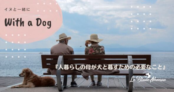 ベンチに座り海を眺める老夫婦と横に伏せる大型犬