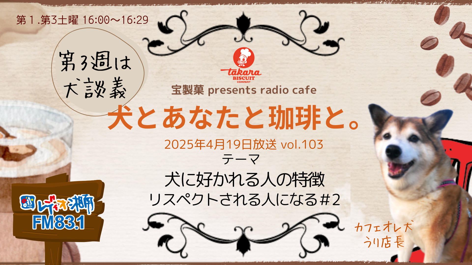 いぬ好き(ง ᵕωᵕ)ว♪ I made Halloween cookies for the Mameshiba siblings. - YouTube