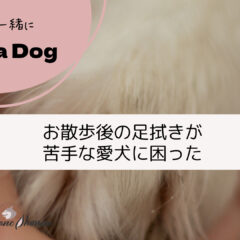 犬の手