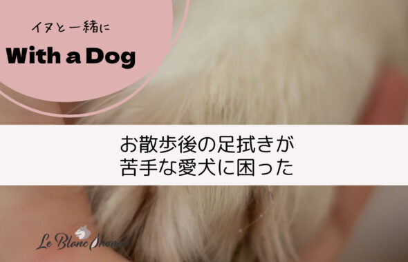 犬の手